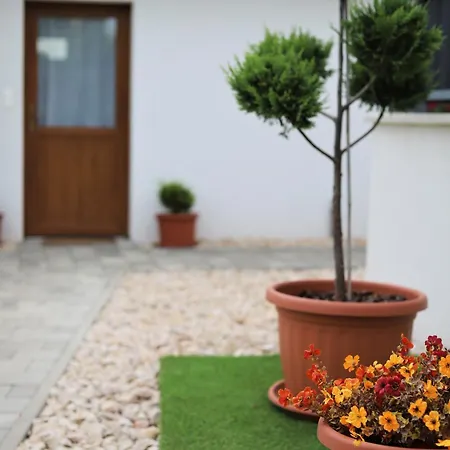 Panorama Vendeghaz Lägenhet