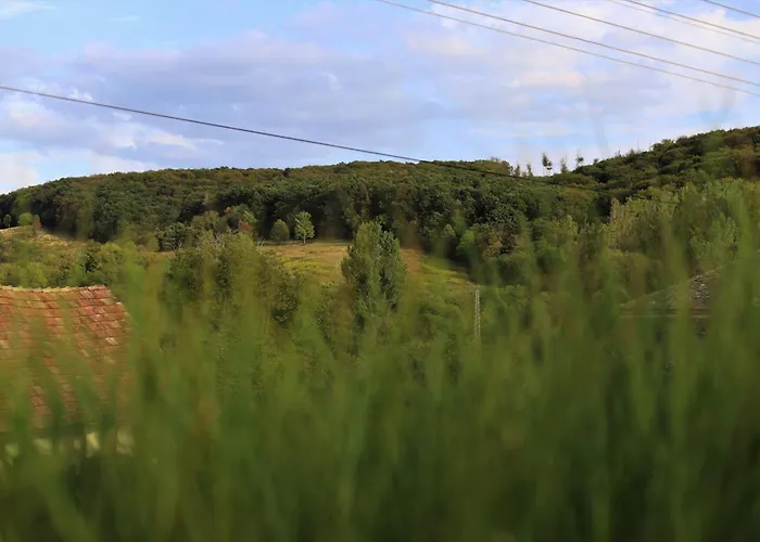 Panorama Vendeghaz * Jásd